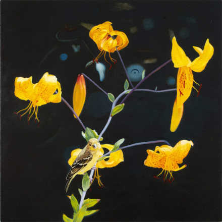 Diane Andrews Hall - Goldfinch with Fermata