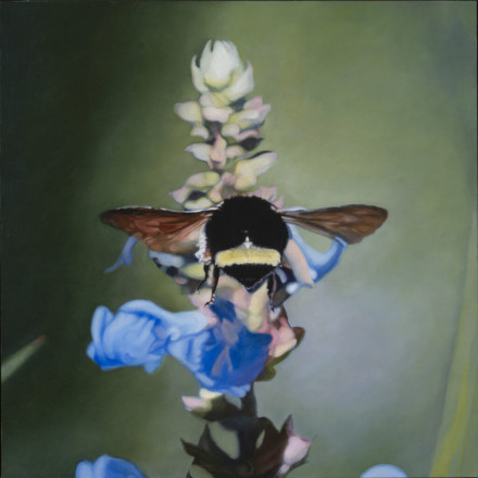 Diane Andrews Hall - Bumble Bee with Blue Flower