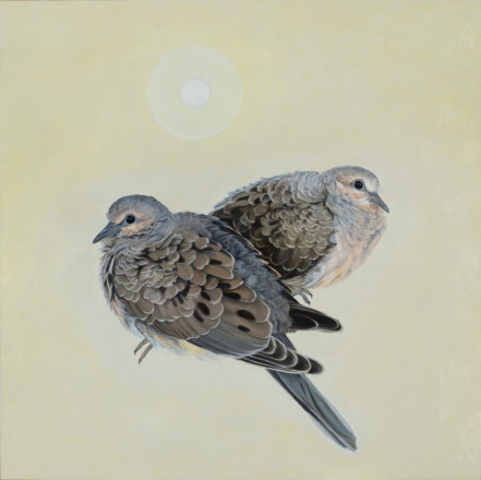 Diane Andrews Hall - Mourning Doves / White Dot