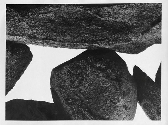 Aaron Siskind - Martha's Vineyard 107 (The Beauty)