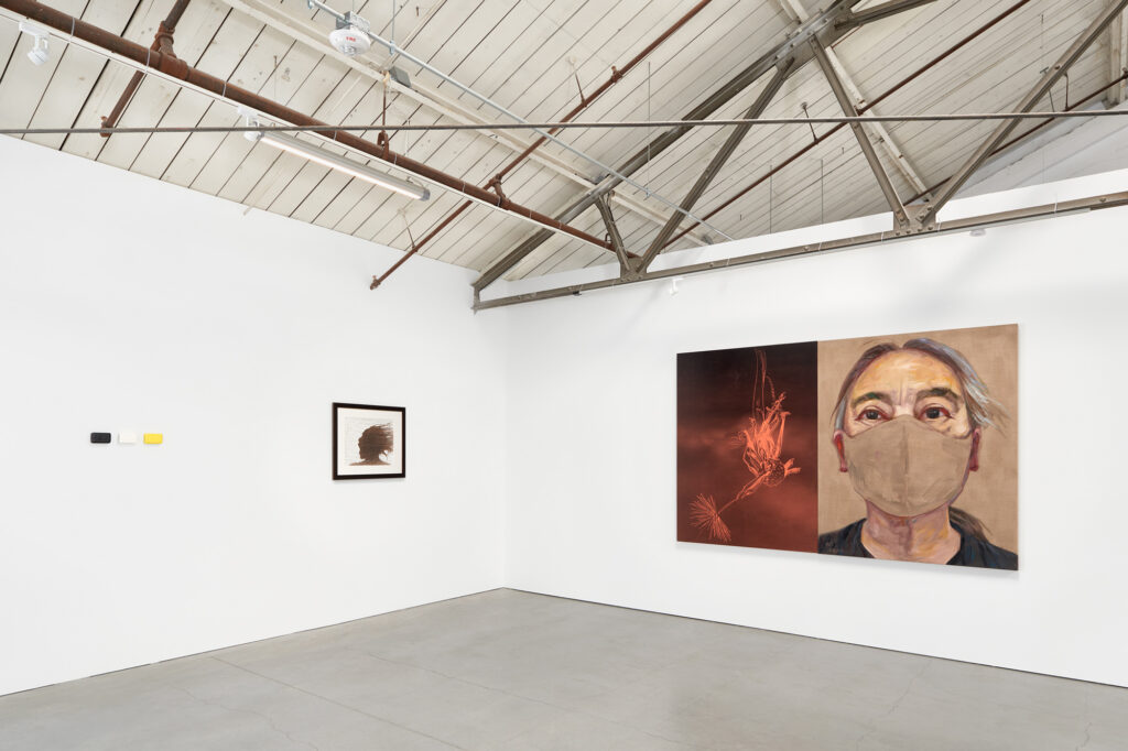 Installation view in gallery