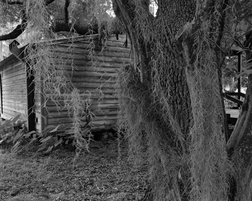 Black and white photograph of former slave plantation, by Dawoud Bey