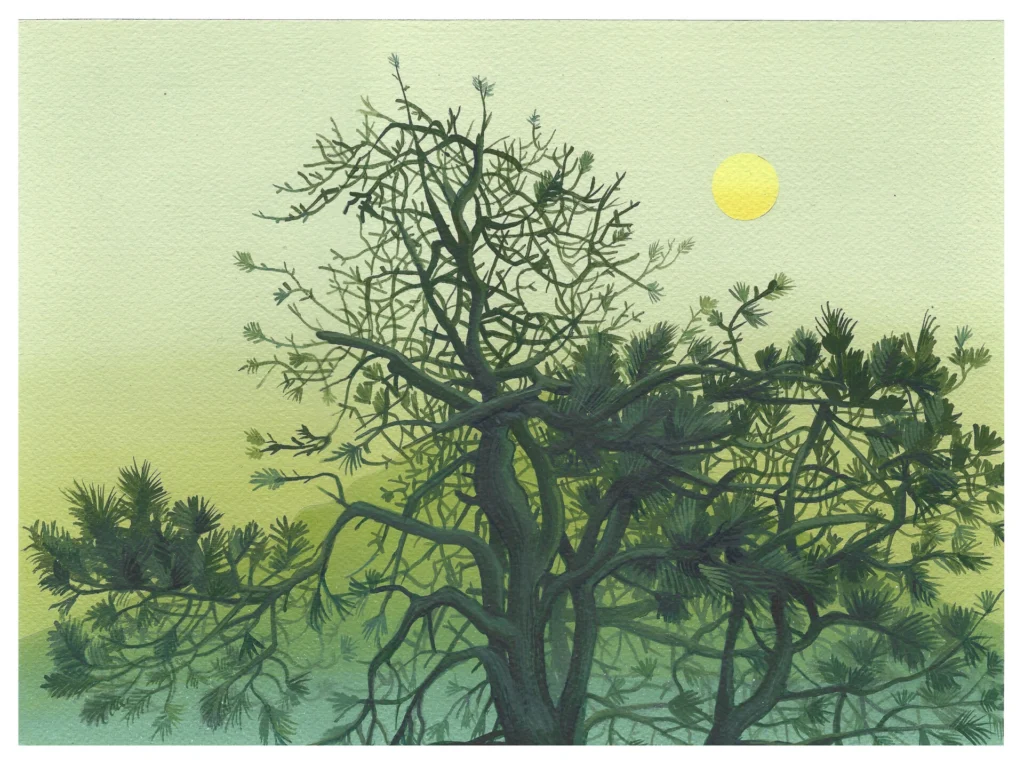 Robert Minervini: 36 Views - Rena Bransten Gallery - San Francisco